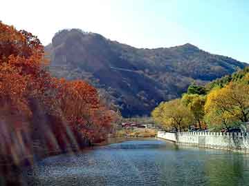 天天彩好彩天天免费，平陆野猪